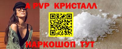 спиды Новозыбков