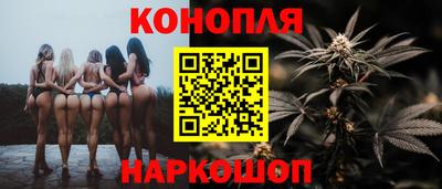 гидра Новодвинск