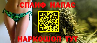 гашик Обь