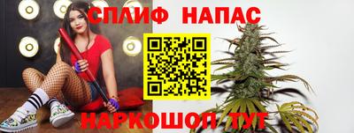 спиды Новозыбков