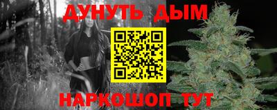 спиды Новозыбков